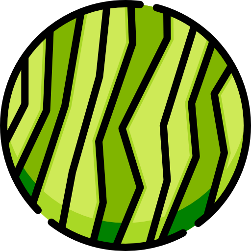 Watermelon icon