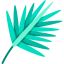 Leaf icon 64x64