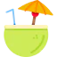 Coconut icon 64x64