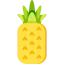 Pineapple icon 64x64