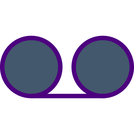 Record icon