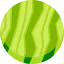 Watermelon icon 64x64