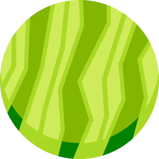 Watermelon icon