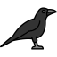 Raven icon 64x64