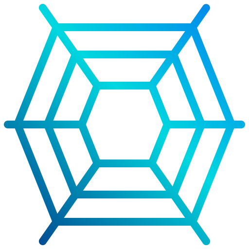 Spider web icon
