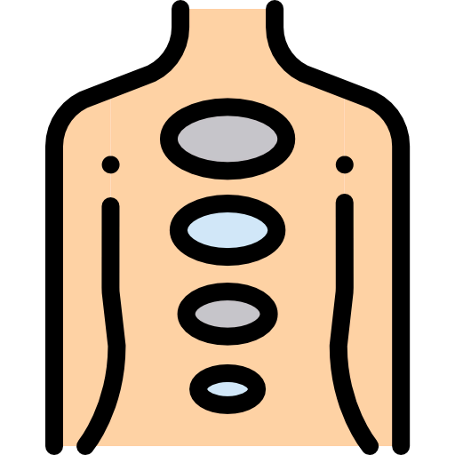 Body icon