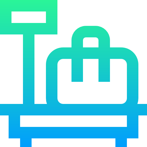 Scale icon