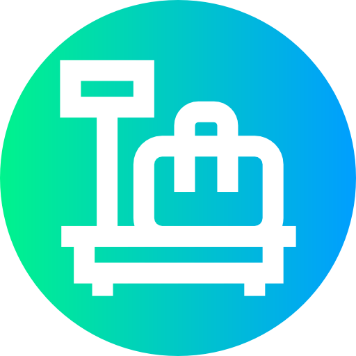 Scale icon