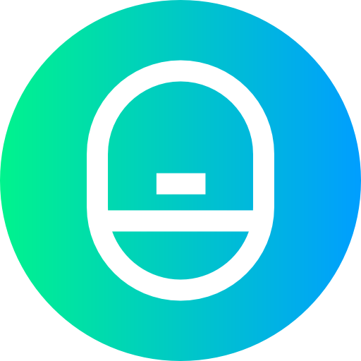 Window icon