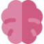 Brain icon 64x64