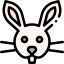 Rabbit icon 64x64