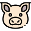 Pig icon 64x64