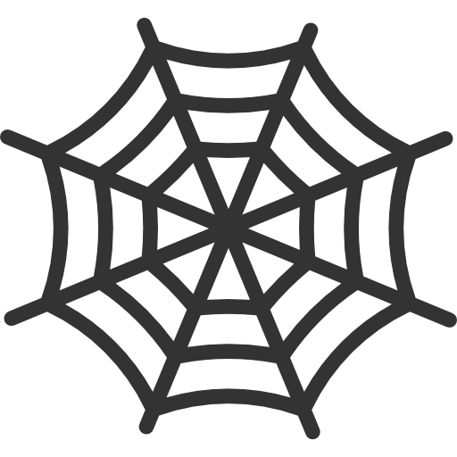 Spider web icon