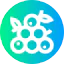Fruits アイコン 64x64
