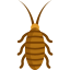 Cockroach ícono 64x64