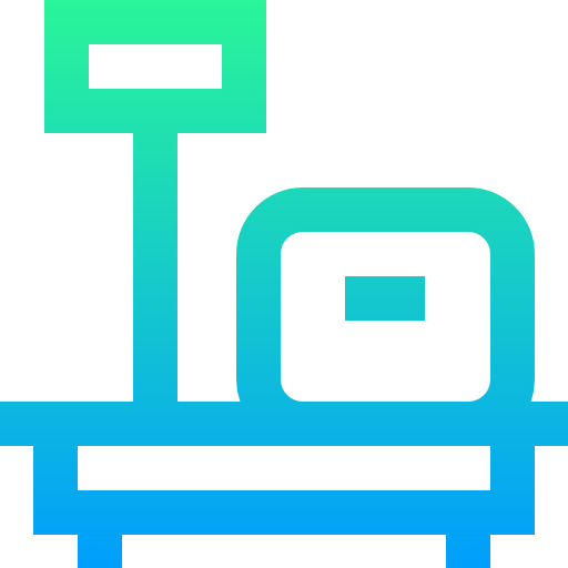 Scale icon