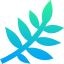 Leaf 图标 64x64