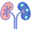 Kidneys іконка 64x64