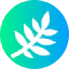 Leaf icon 64x64