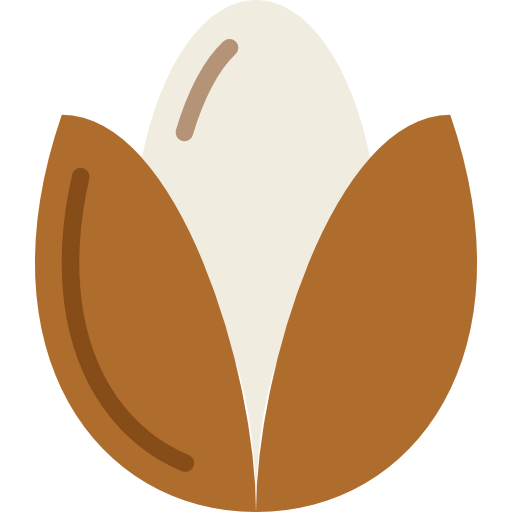 Seed icon
