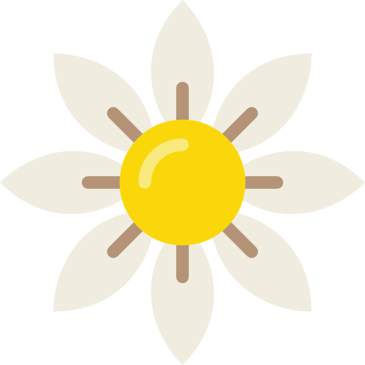Daisy icon