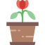 Flower icon 64x64
