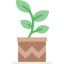 Plant icon 64x64