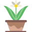 Flower icon 64x64