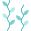 Seaweed icon 64x64