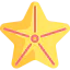 Starfish icon 64x64