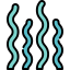 Seaweed icon 64x64
