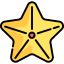 Starfish icon 64x64