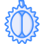 Durian icon 64x64