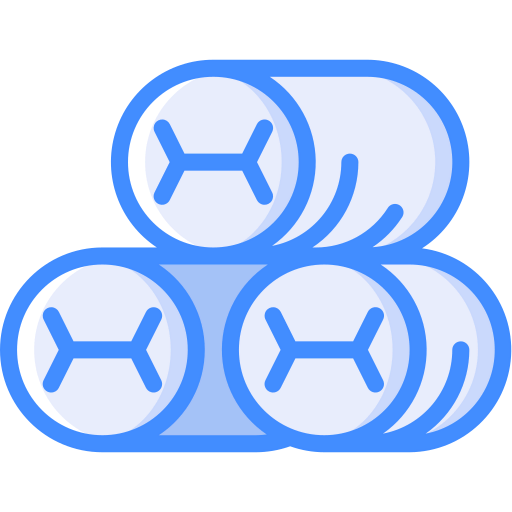Spring rolls icon