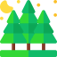 Spruce іконка 64x64