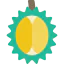 Durian icon 64x64