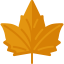 Maple leaf icon 64x64
