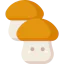 Mushroom icon 64x64