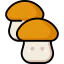 Mushroom icon 64x64