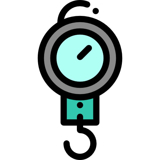 Scale icon