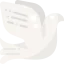 Dove icon 64x64