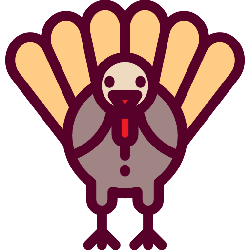 Turkey icon