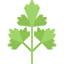 Parsley icon 64x64