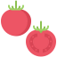 Tomato icon 64x64
