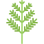 Dill icon 64x64
