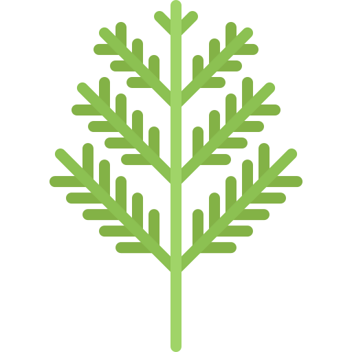 Dill icon