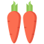Carrot icon 64x64
