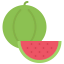 Watermelon icon 64x64