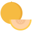 Melon icon 64x64