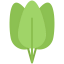 Spinach biểu tượng 64x64